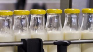 Milchverarbeitende Industrie / Dairy Industry