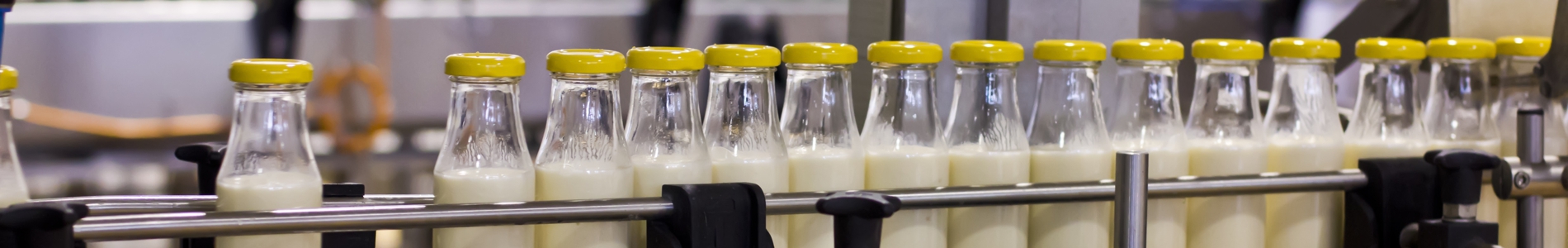 Milchverarbeitende Industrie / Dairy Industry